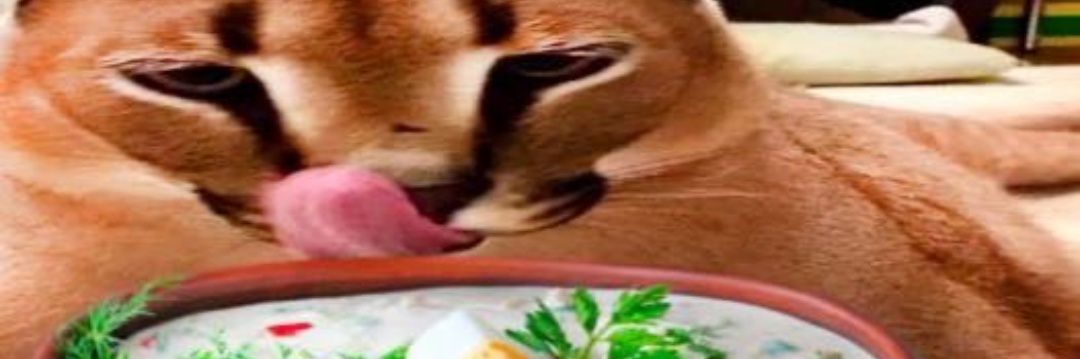 XABLAU 🇧🇷🇵🇸🇷🇺🇨🇳🇮🇷 banner