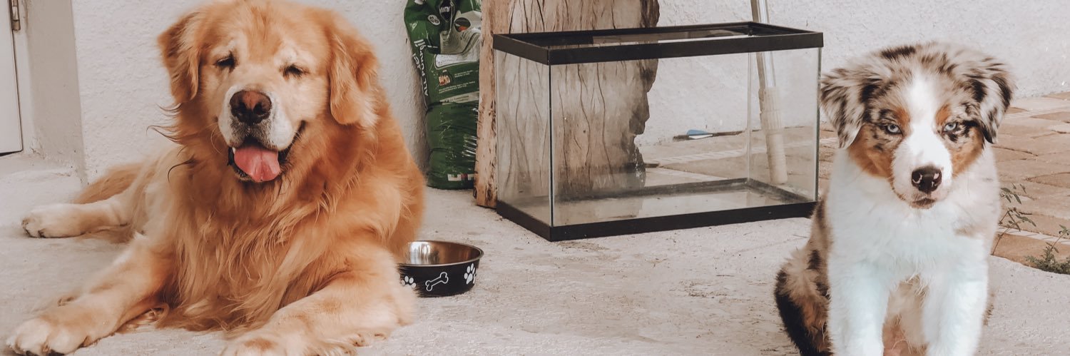 Giijoppert_'s profile banner image