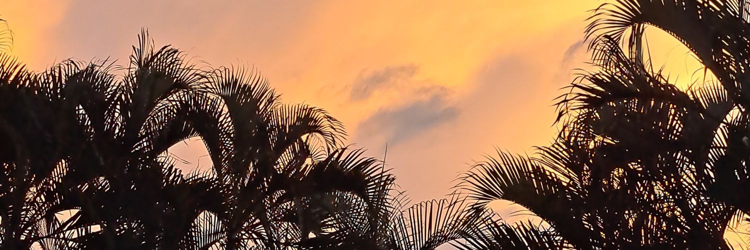 Day💫 banner