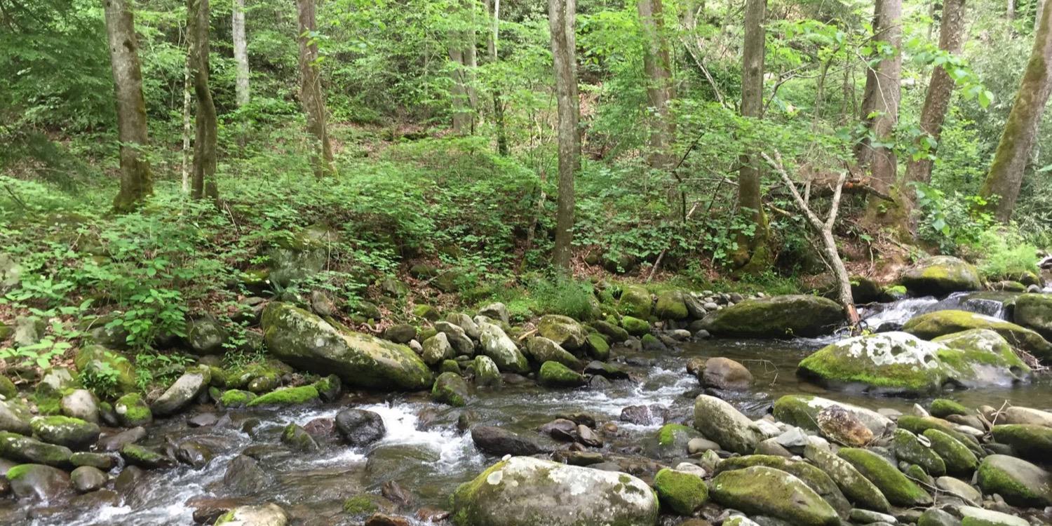 Peggy Berry, PhD, MSN, RN, COHN-S, CLE, FAAOHN banner