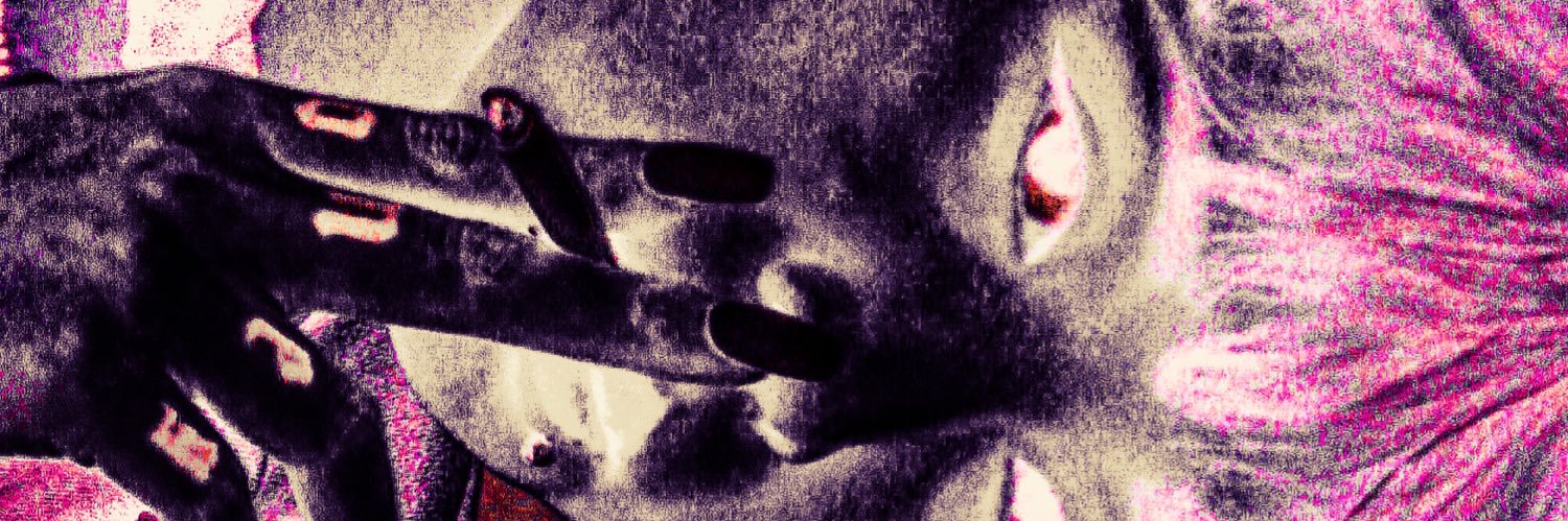 PolluxCastor17's profile banner image