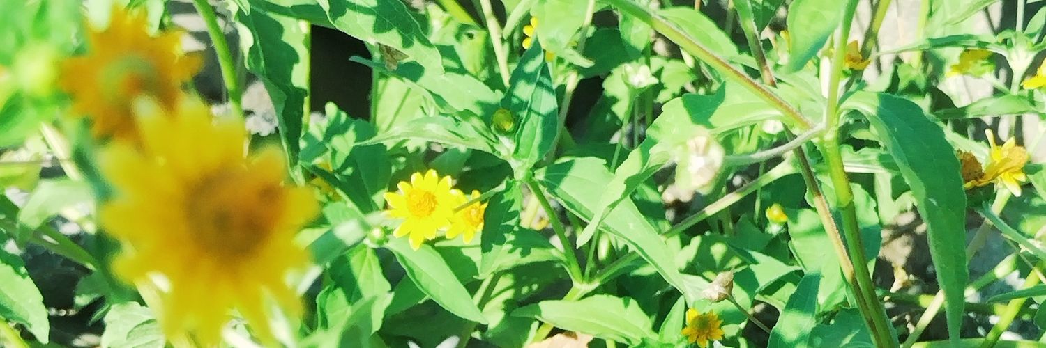 josdani98's profile banner image