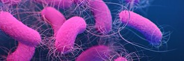PharmDKat Profile Banner
