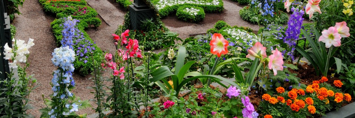 KeyToLifeGarden's profile banner image