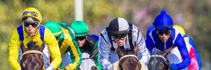 HorseRacingWorld banner