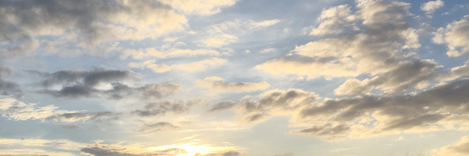 sadiegowans's profile banner image