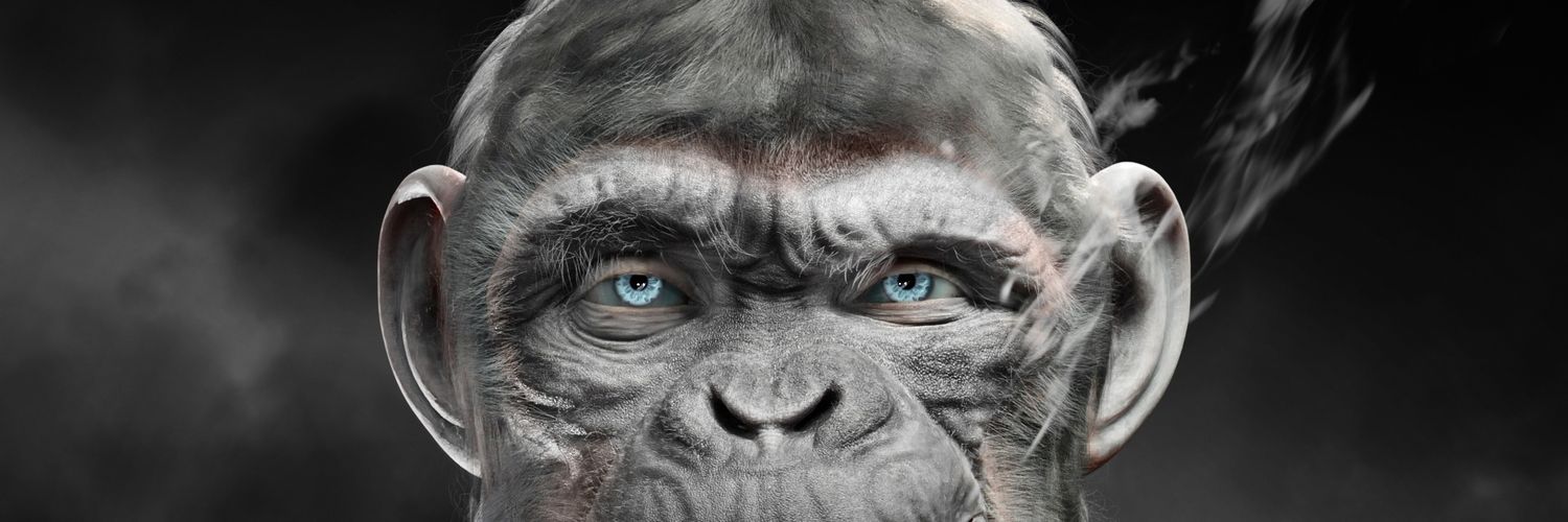 TheProf2255's profile banner image