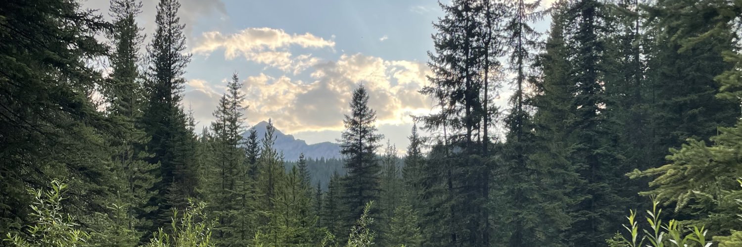 Cricktus's profile banner image
