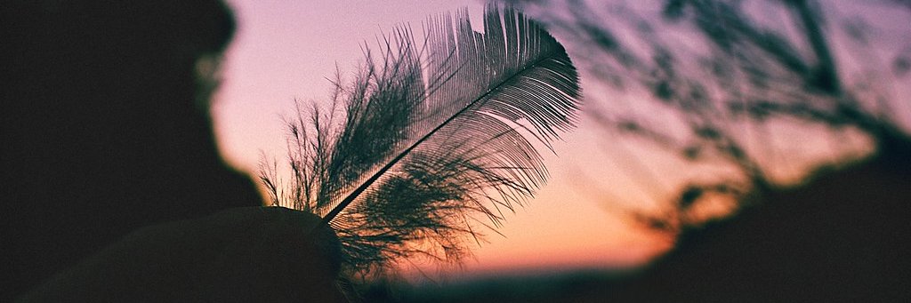 Queen D banner