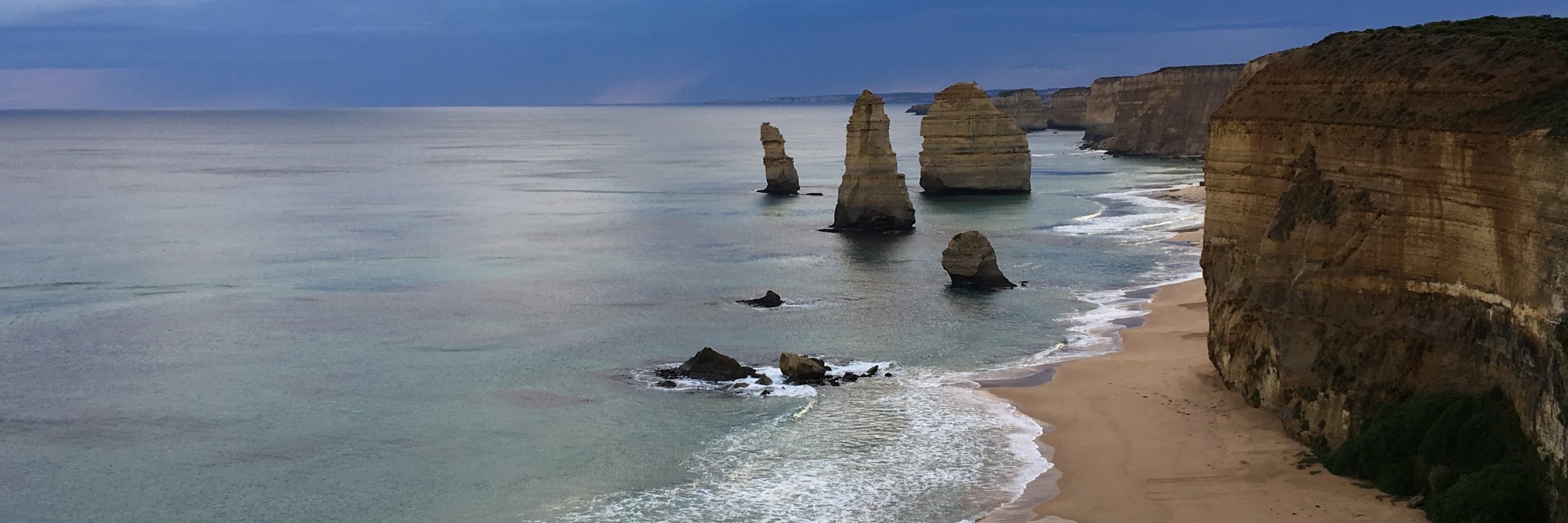 Louie Schwartzberg banner
