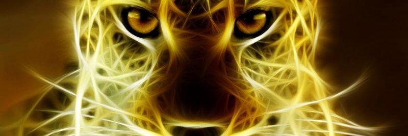 feryly's profile banner image