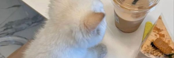 maxierru Profile Banner