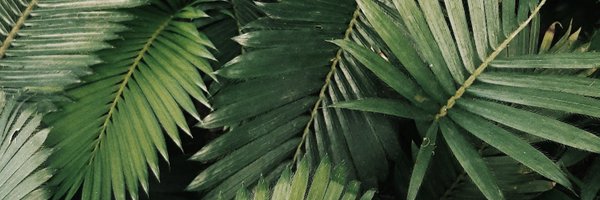 _ajfernando Profile Banner