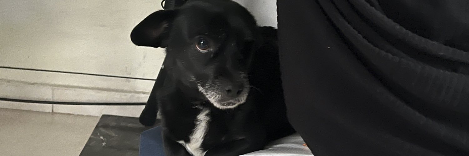 Anglluuu's profile banner image