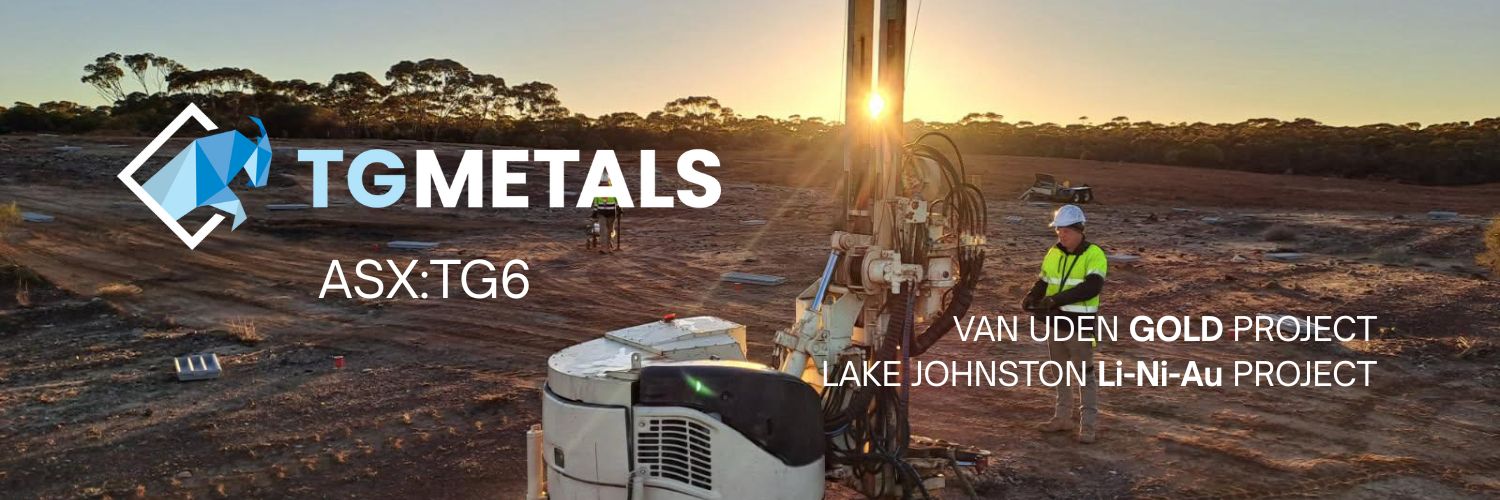 TG Metals Limited banner