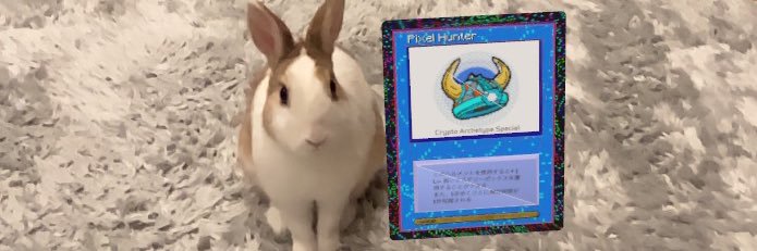 pekocrypt banner