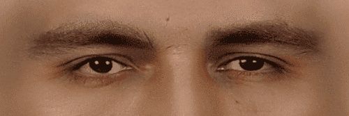 A. banner