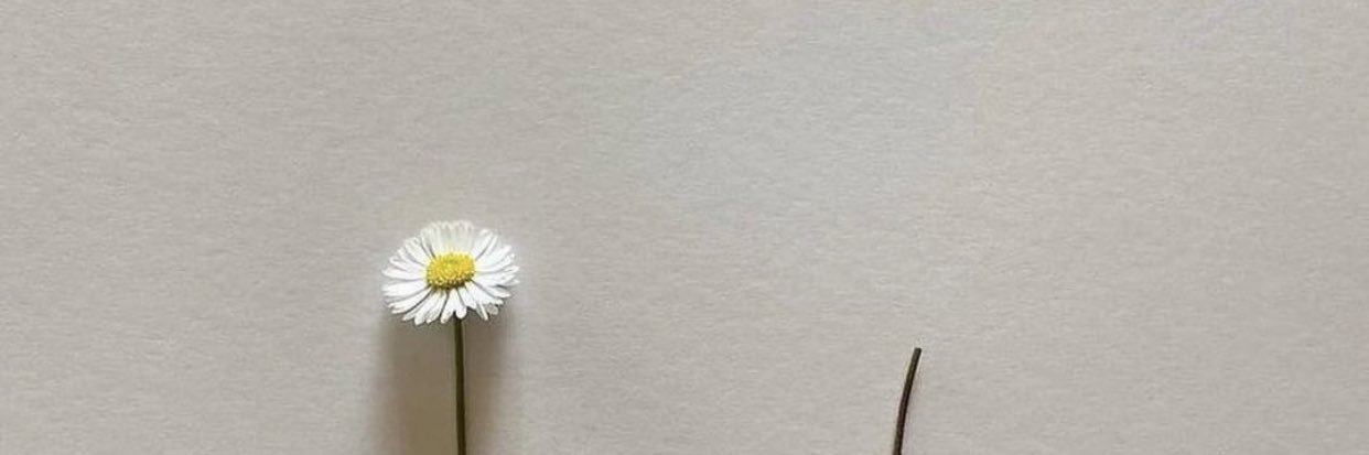 Moveera banner