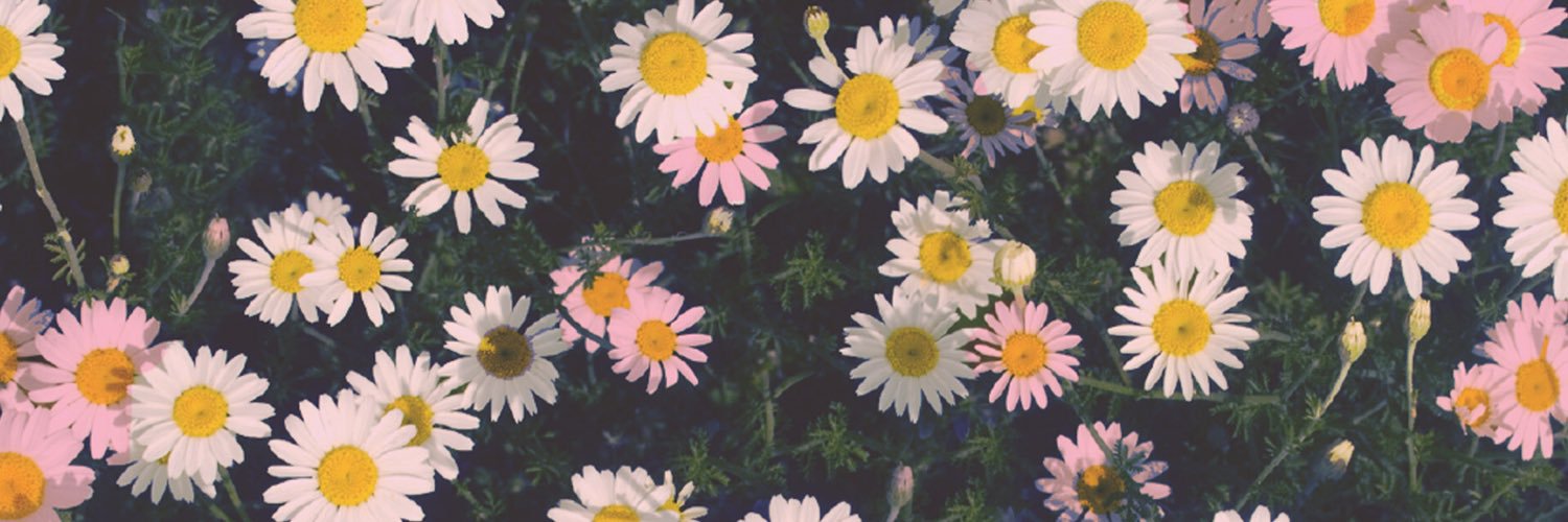 laurasaunders_'s profile banner image