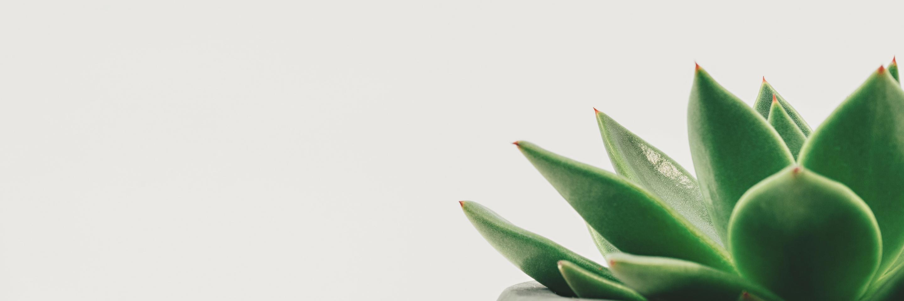 JessicaFWalker's profile banner image