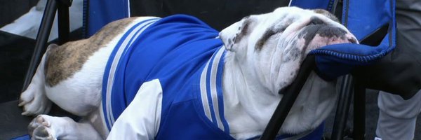 DJWolter Profile Banner