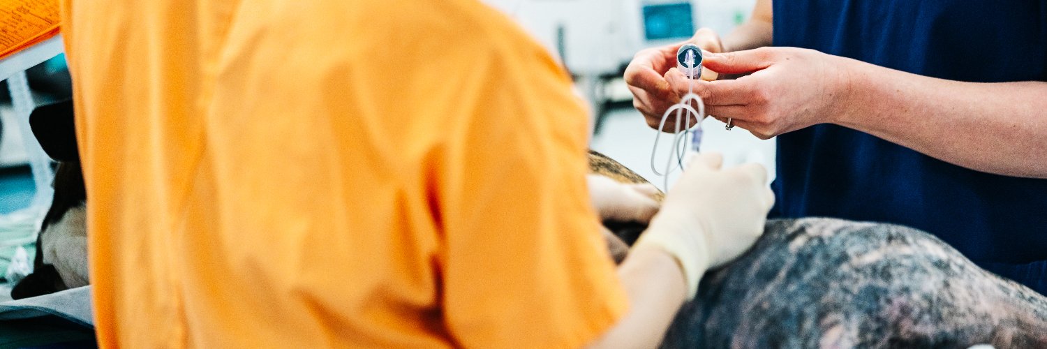 IVC Evidensia Referrals banner