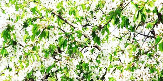 scottzuke's profile banner image