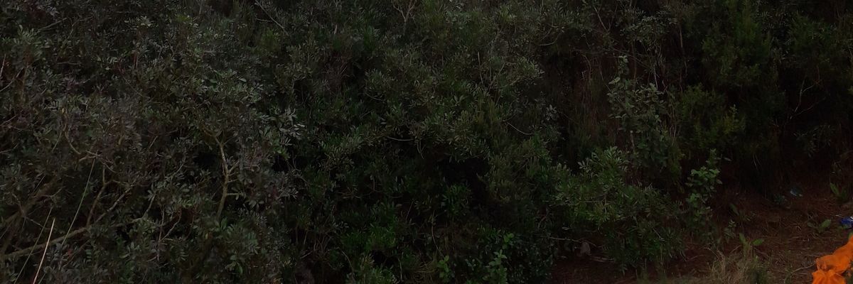 yahyaharras6's profile banner image