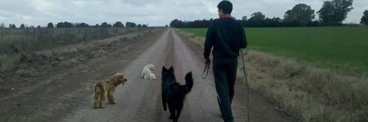 loromarroni's profile banner image