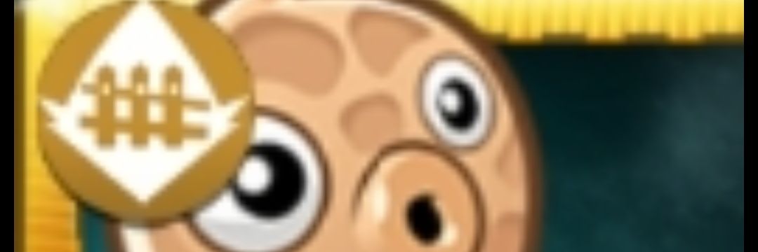 Dominic banner