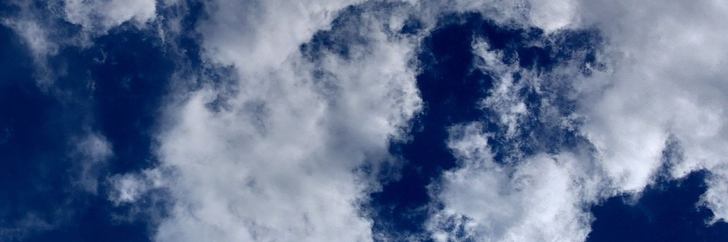 daisy_nineteen's profile banner image