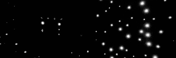 havalli_ Profile Banner