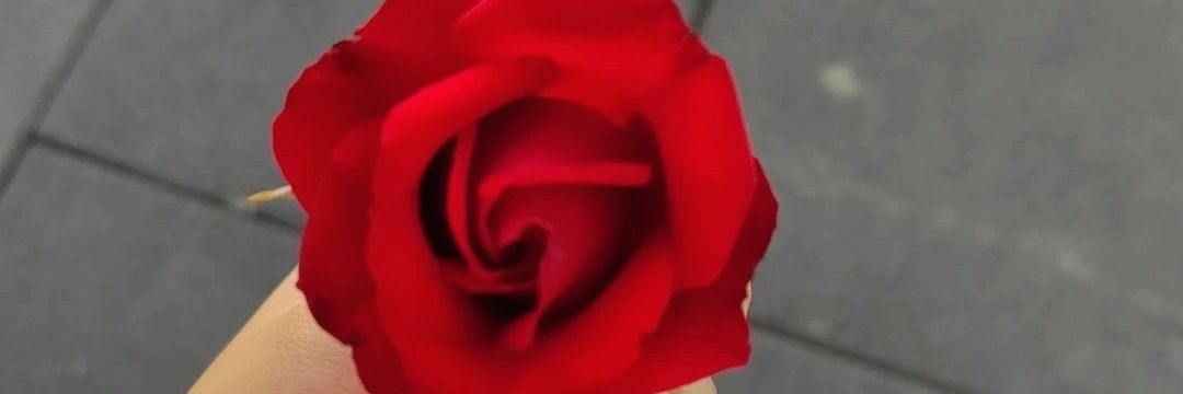 m_ozver's profile banner image