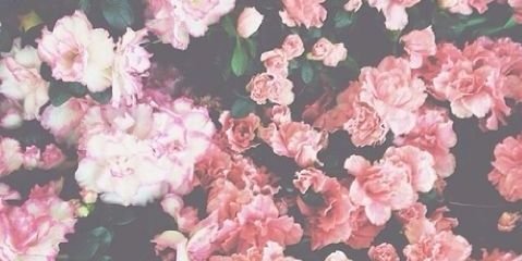 mysrh18_'s profile banner image