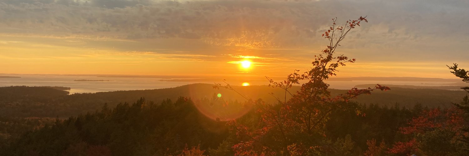 Levi_Raskin's profile banner image