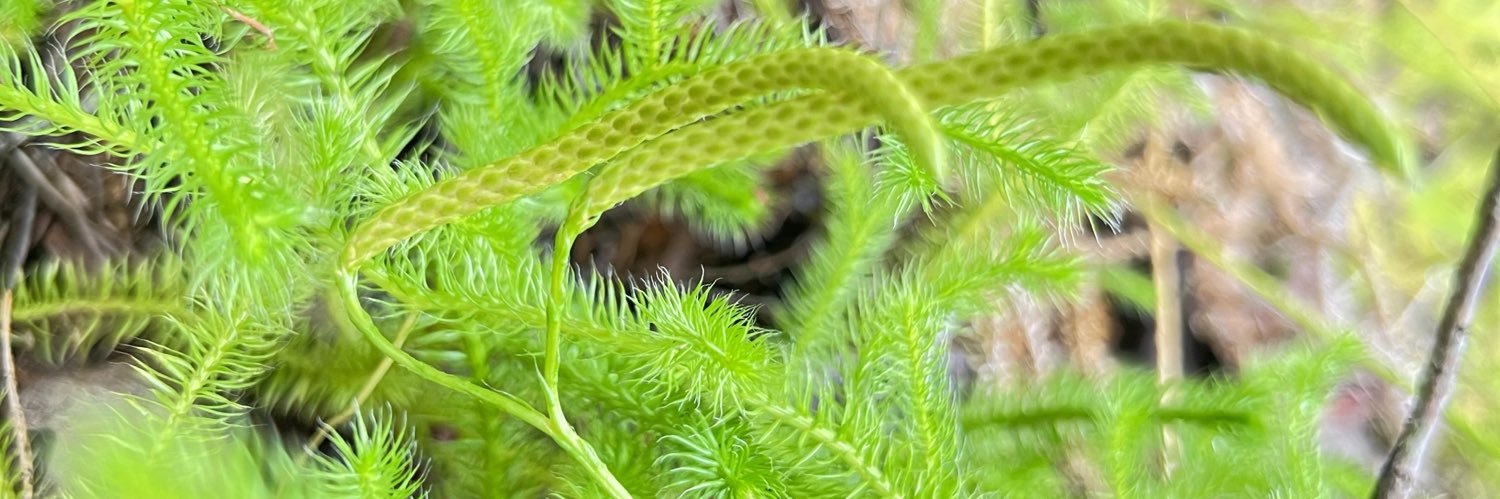 Bama Biologist banner