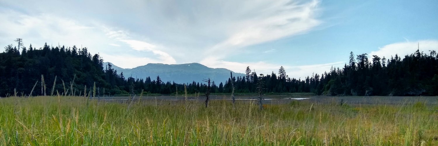 Dave Farley ن‎ 🇺🇸 banner