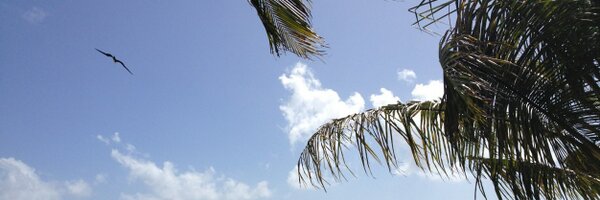 Mikael Profile Banner