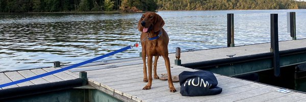 AlexandraSwayne Profile Banner