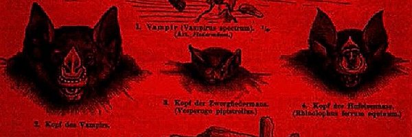 dyfunctiondroid Profile Banner