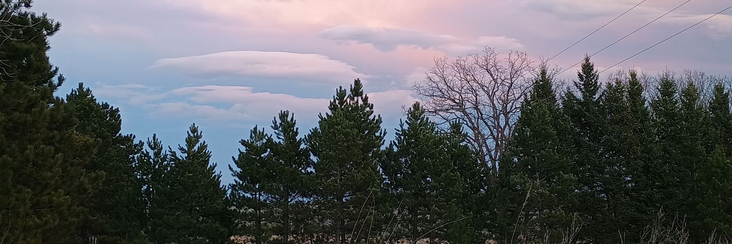 graysee909's profile banner image