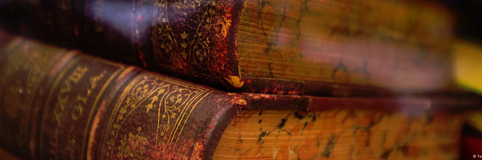 arcaedia's profile banner image