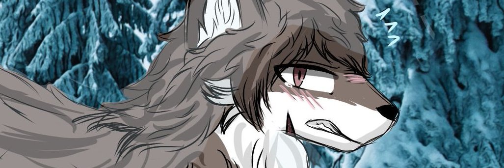 mfokami02's profile banner image