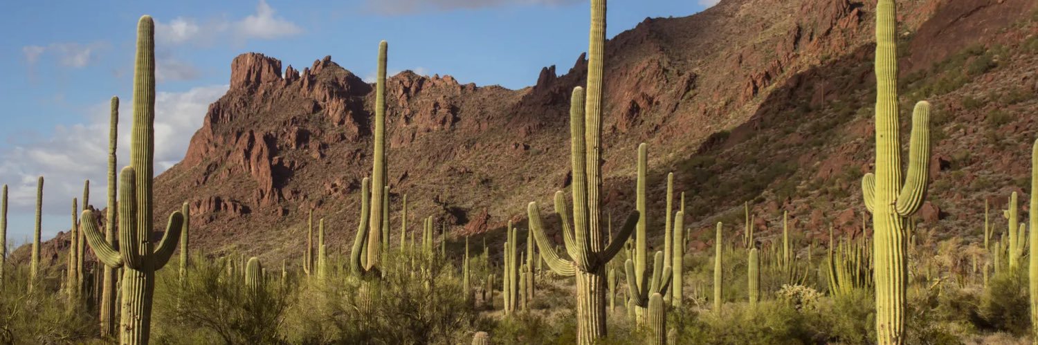 NatureBois_'s profile banner image