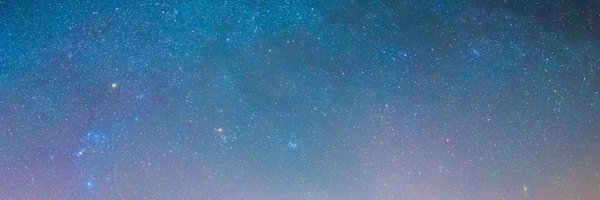 porcubi Profile Banner