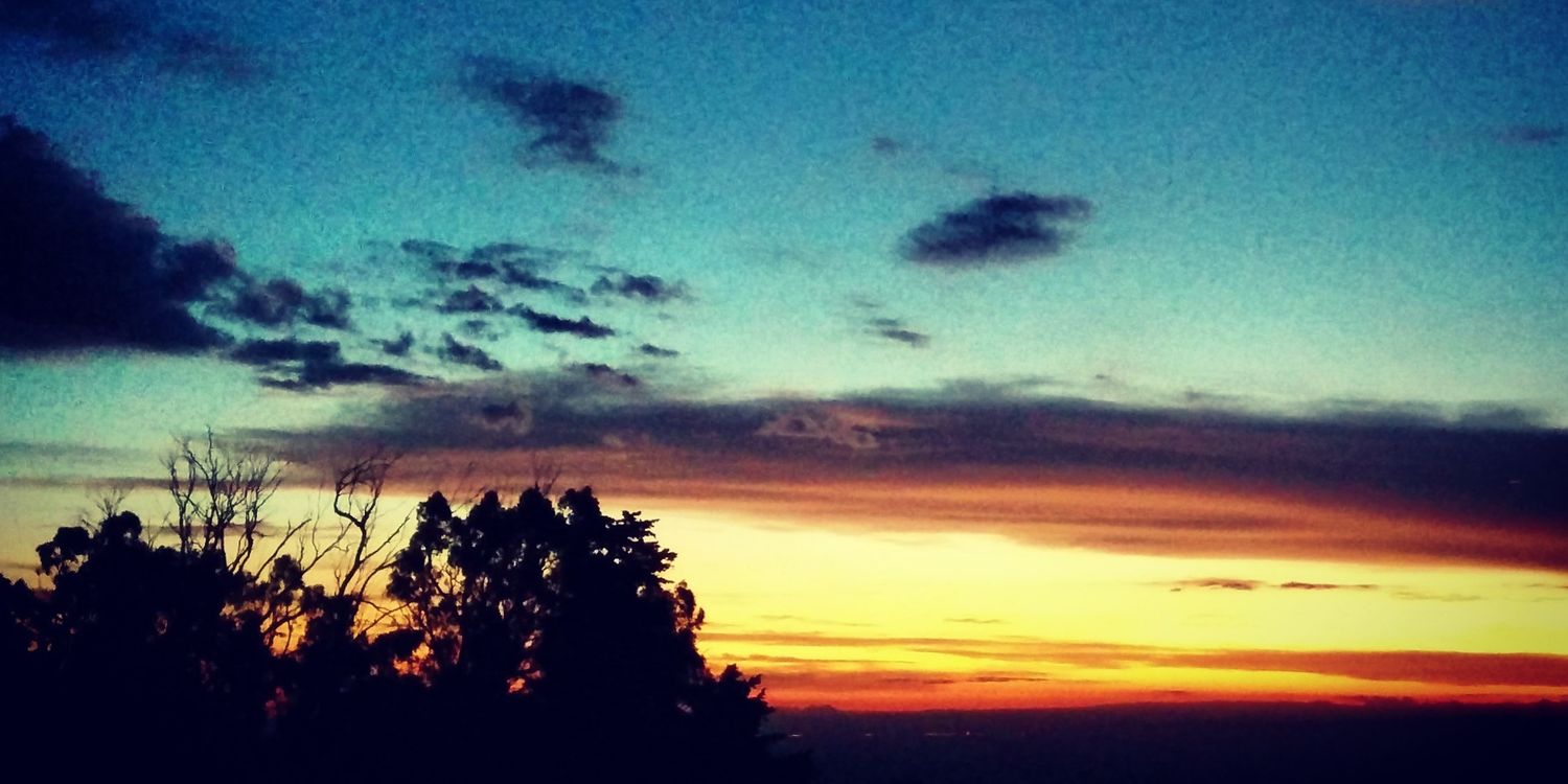 mnalvarez's profile banner image