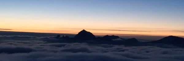 SandraPhD Profile Banner