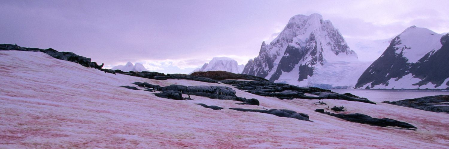 Chloe Bairnes banner