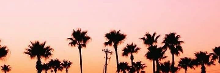 Teffi1823's profile banner image