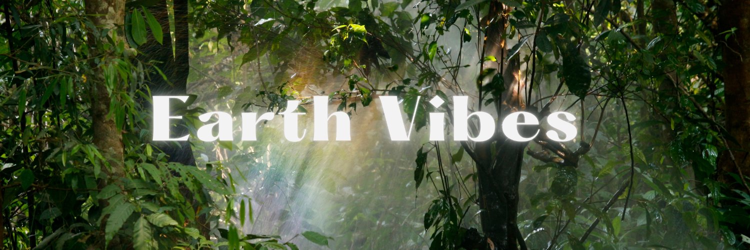 Earth Vibes🌎🌍🌏's banner